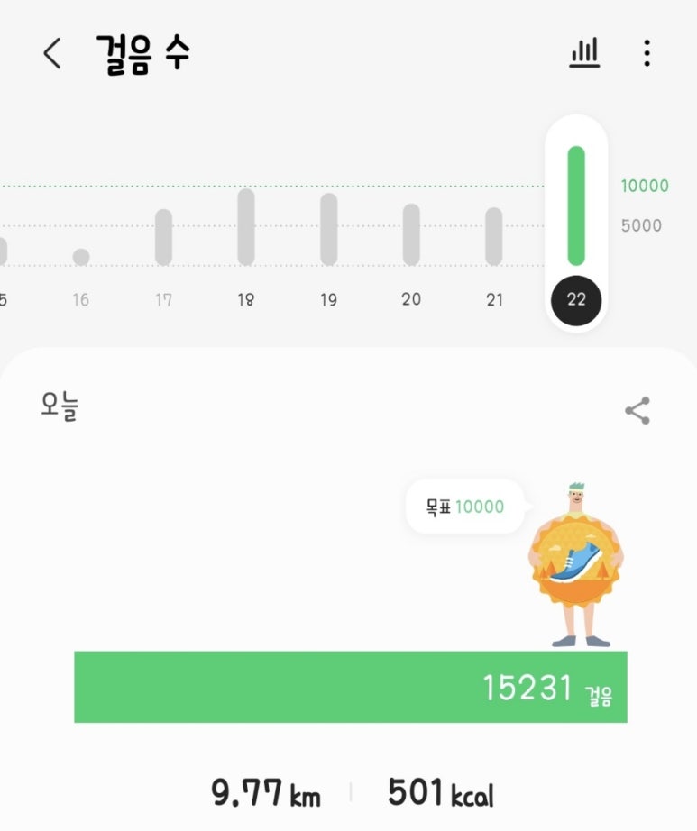 보성완도 이미지