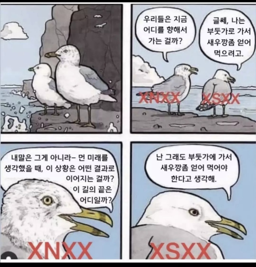 입고또입고 이미지