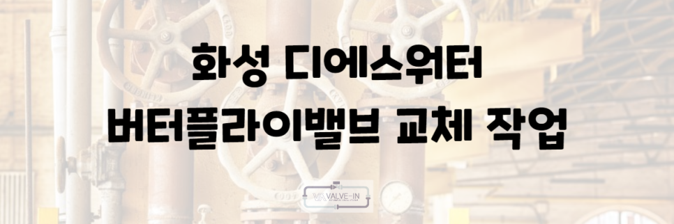 디에스워터 이미지