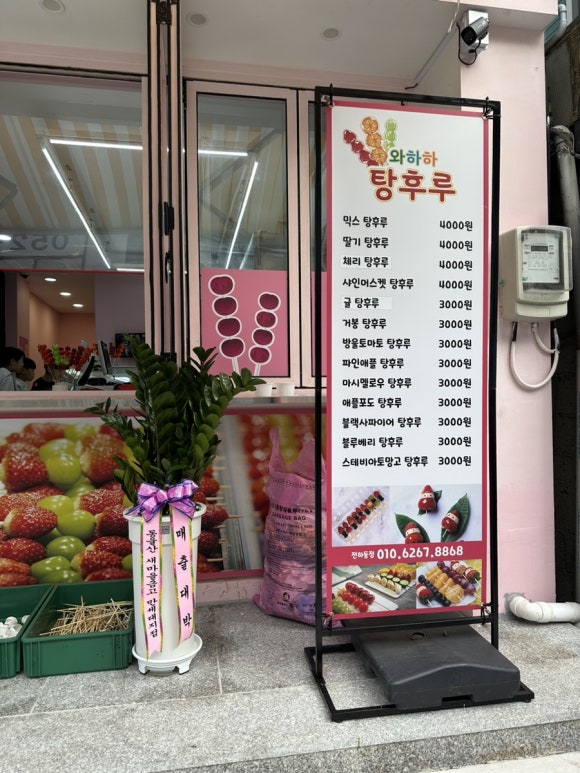 와하하탕후루 이미지