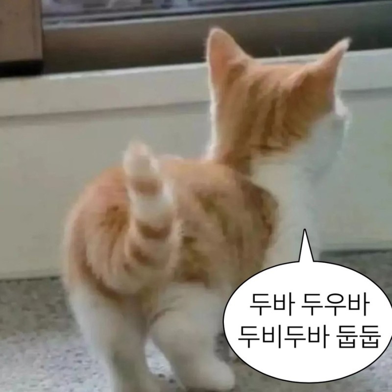 저스트런 이미지