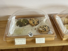 노더티클린 이미지