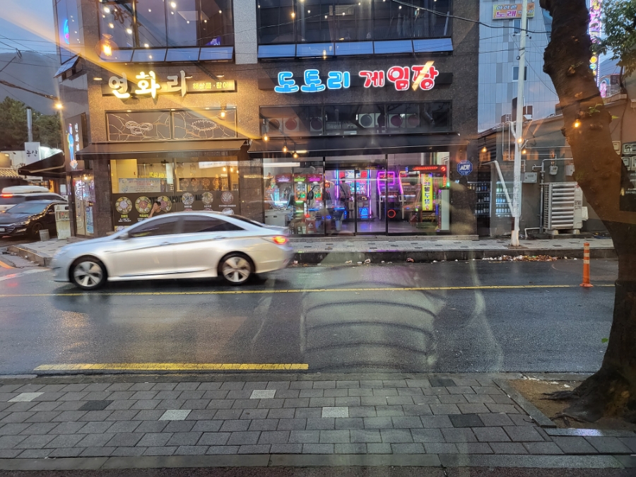 도토리게임장 이미지