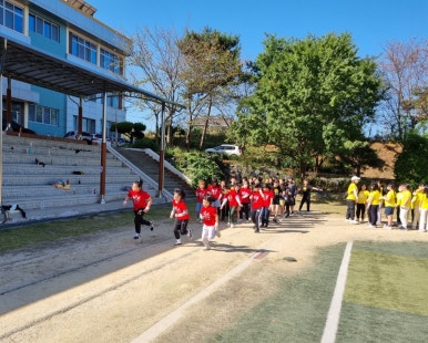 대관초등학교 이미지