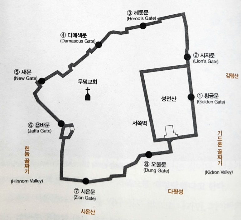 엔로겔 이미지