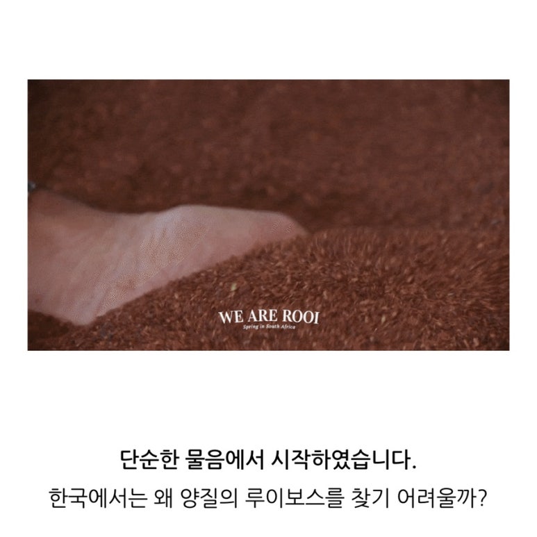 한국루이보스 이미지