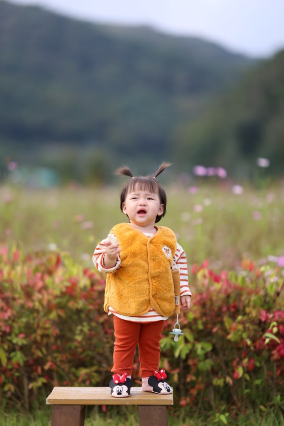 무궁화집 이미지