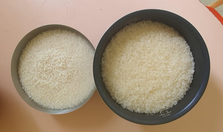 안중유치원 이미지