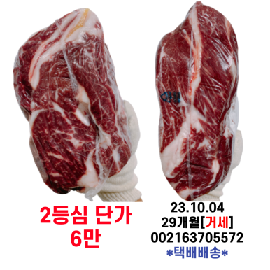 미경사2 이미지