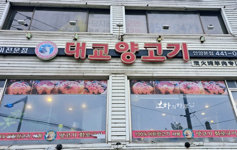 대교양고기 이미지