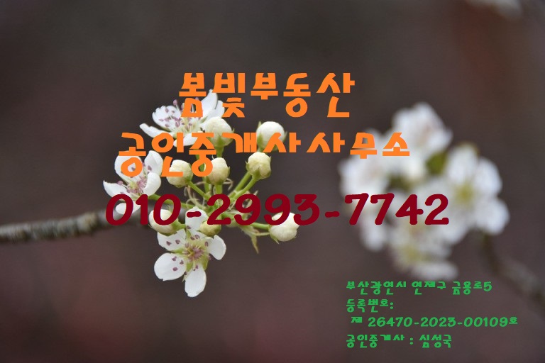 어불림 이미지