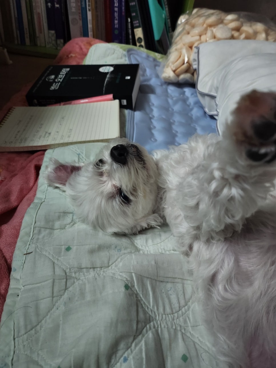 뷰티,올바름 이미지