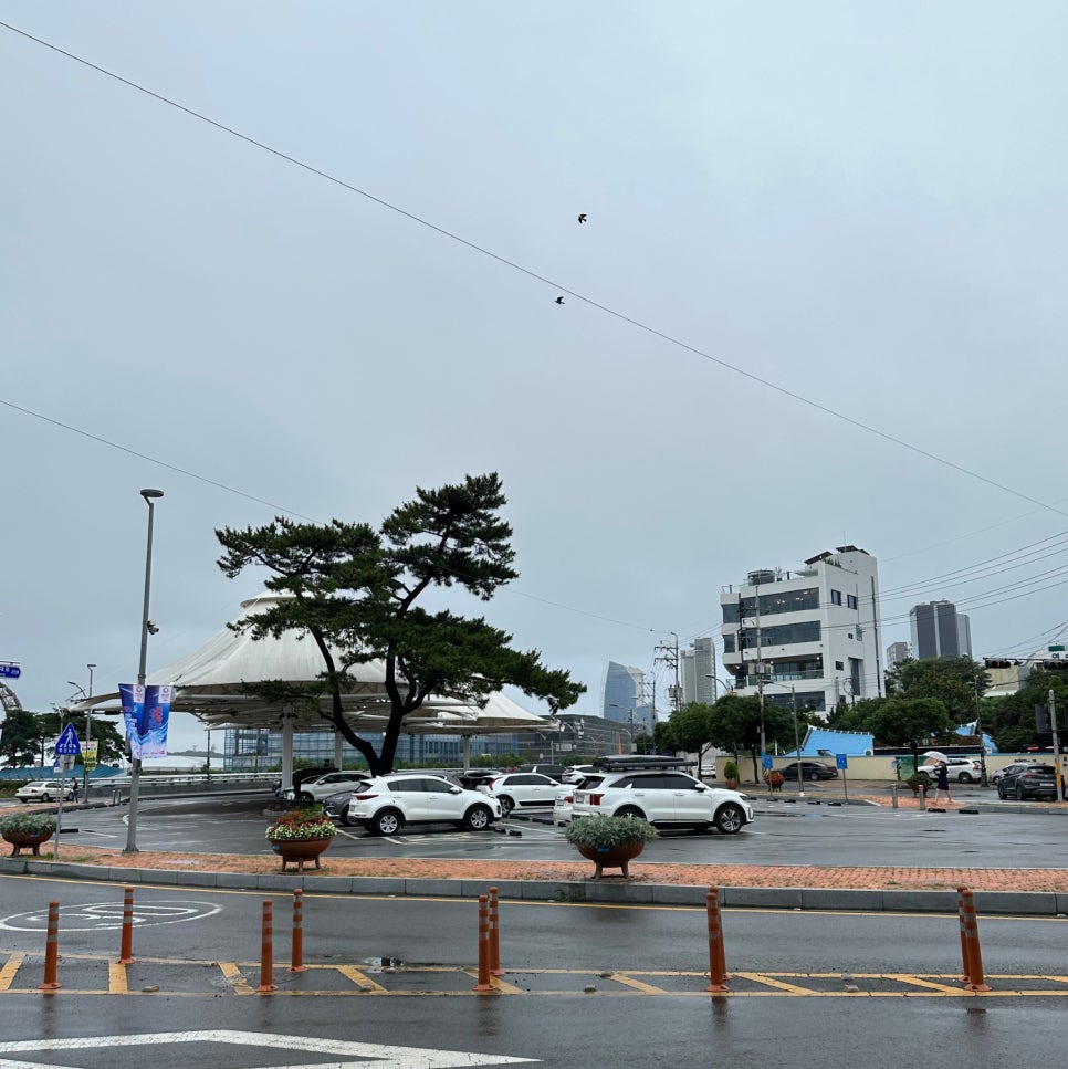 다도해식당 이미지