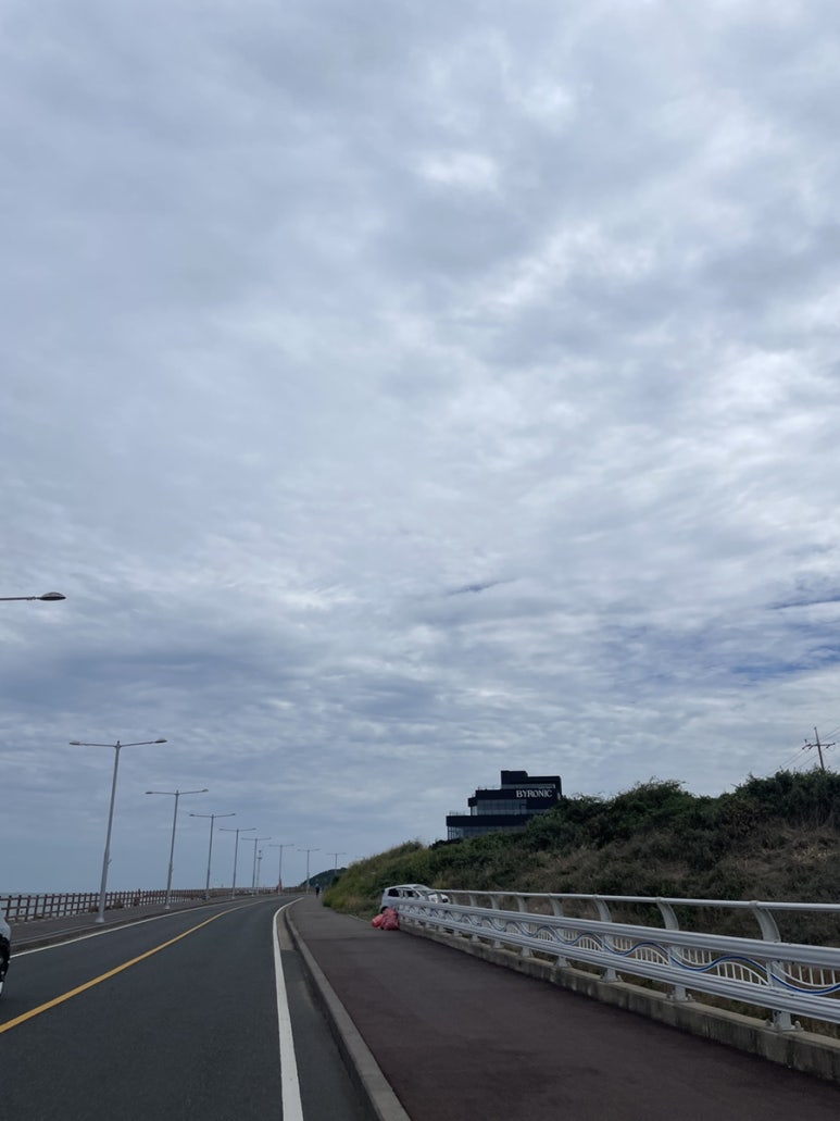 고제반점 이미지