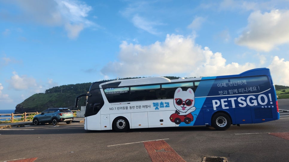 펫츠고트래블 이미지