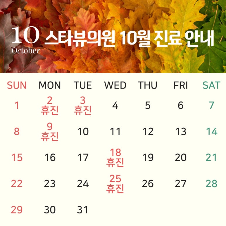 스타뷰의원 이미지