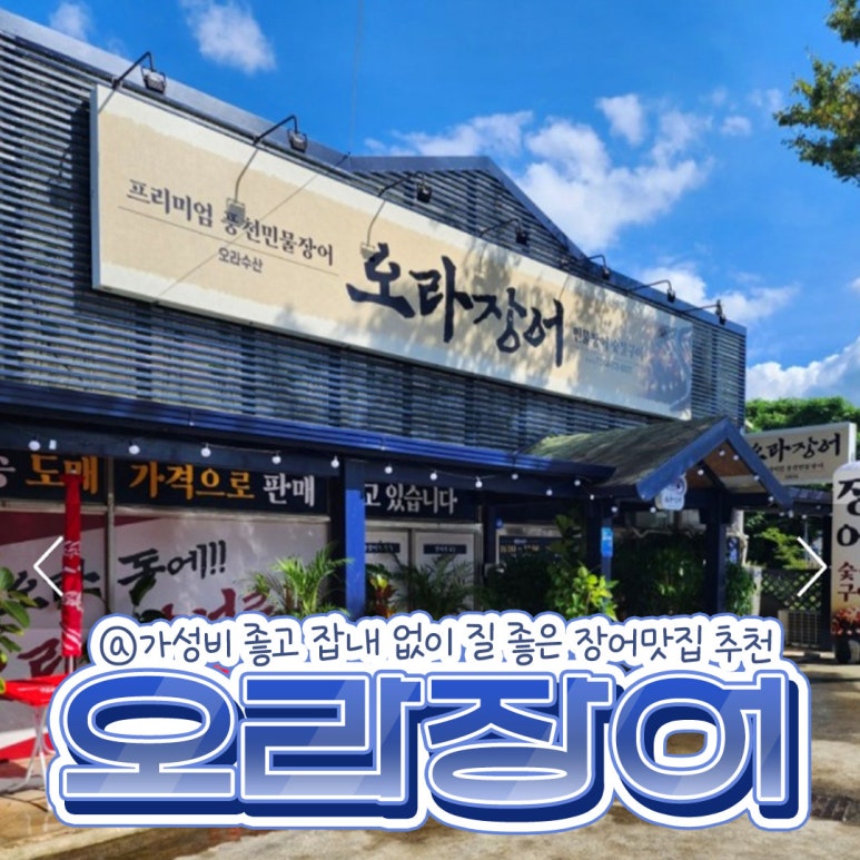 오라장어 이미지