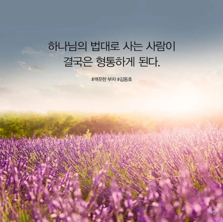 시냇가에심은나무 이미지