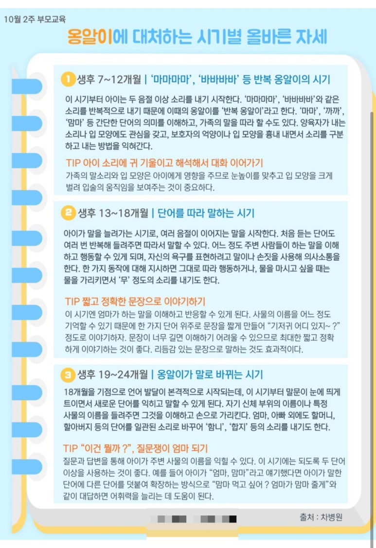 콩·붕 이미지