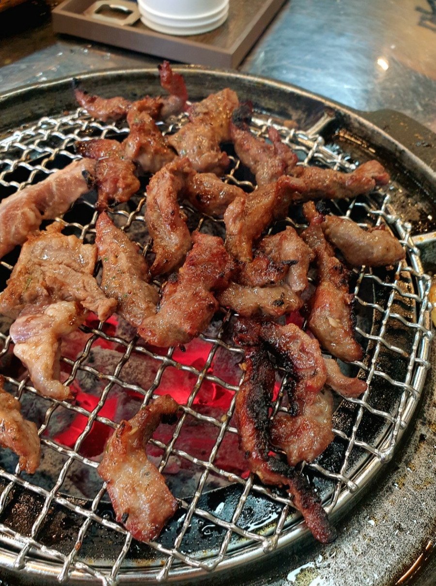 돗배갈매기 이미지