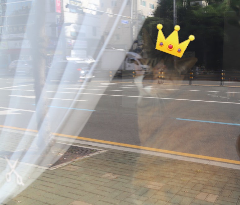 포레나 헤어살롱 이미지