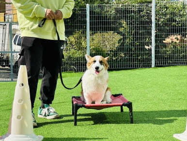분당유치원 이미지