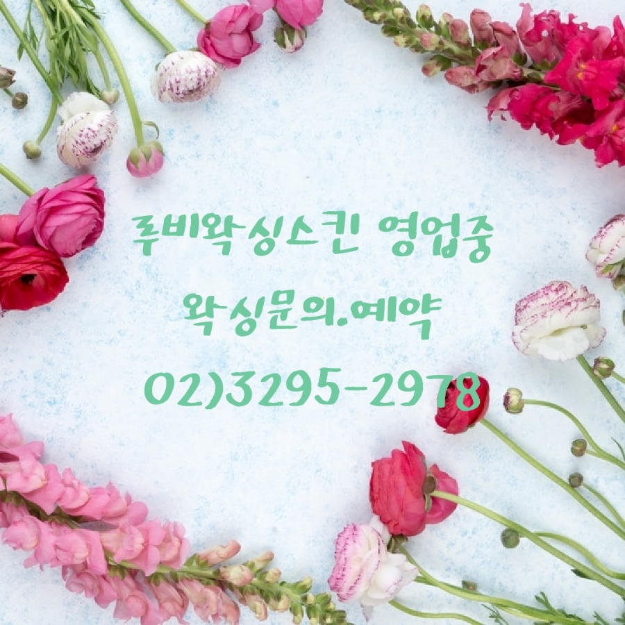 루비왁싱스킨 이미지