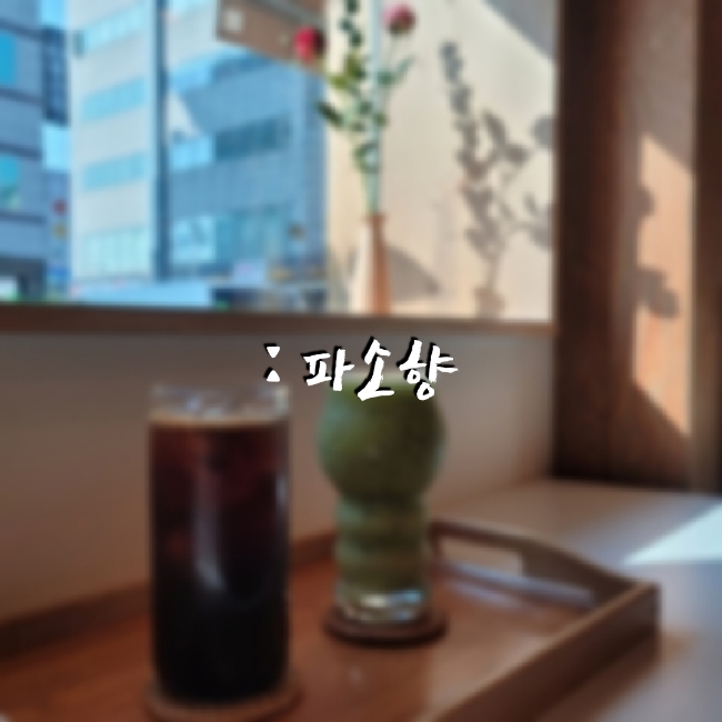 파소향 이미지