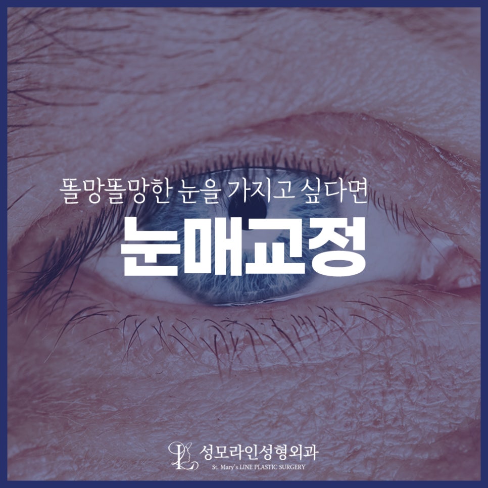 성모라인성형외과의원 이미지