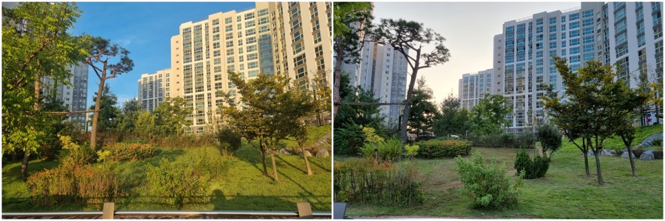 내포조경관리 이미지