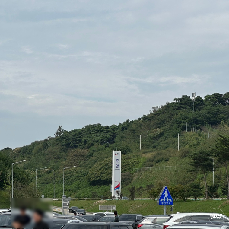 롤로안산 이미지