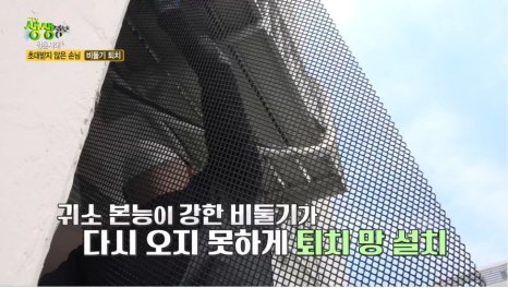 청년크린 이미지
