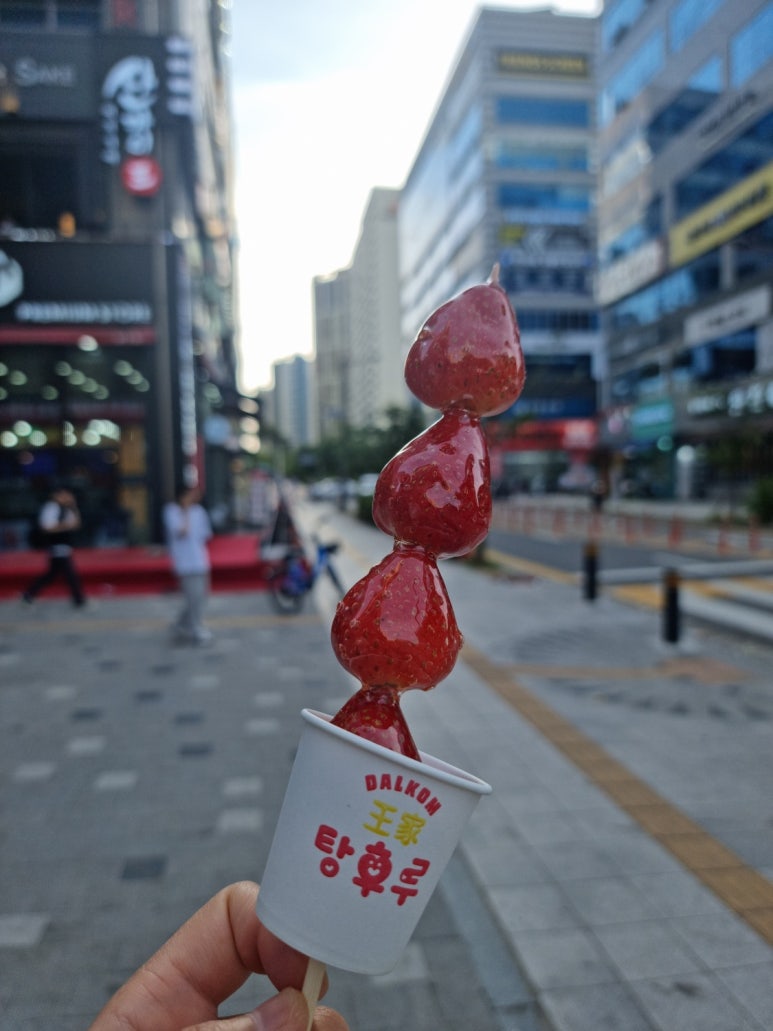 왕가탕후루 양주옥정점 이미지