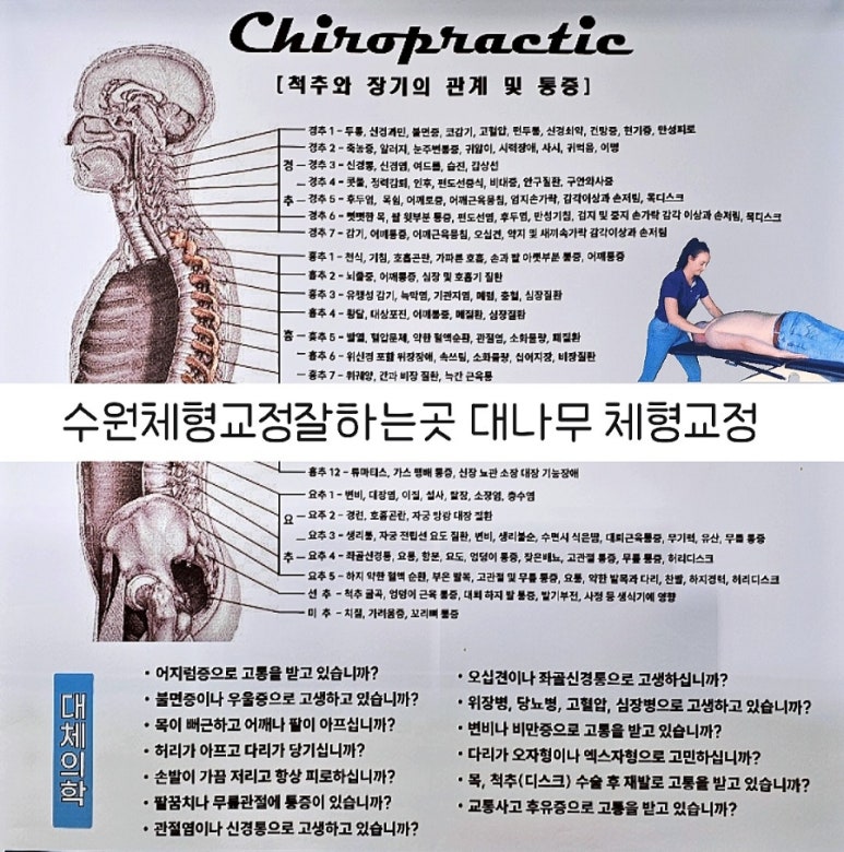 대나무체형교정 이미지