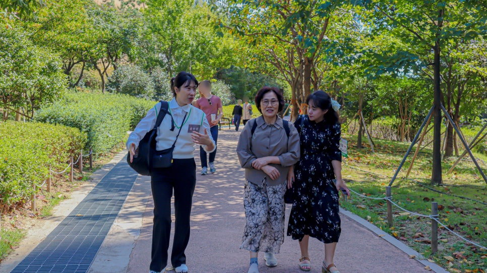 따시리 이미지