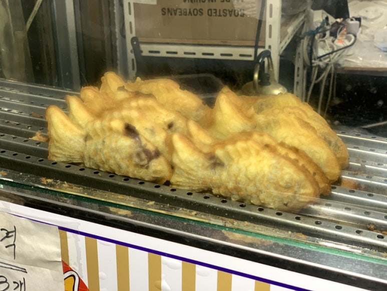 올리브 사진 4