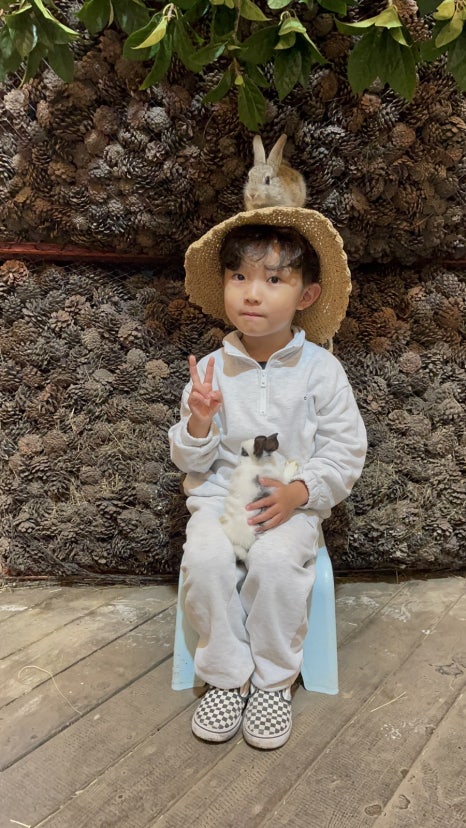 과일팡 이미지