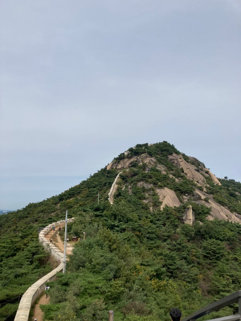 도계갈비마을 이미지
