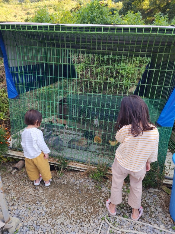 금계관광농원 이미지