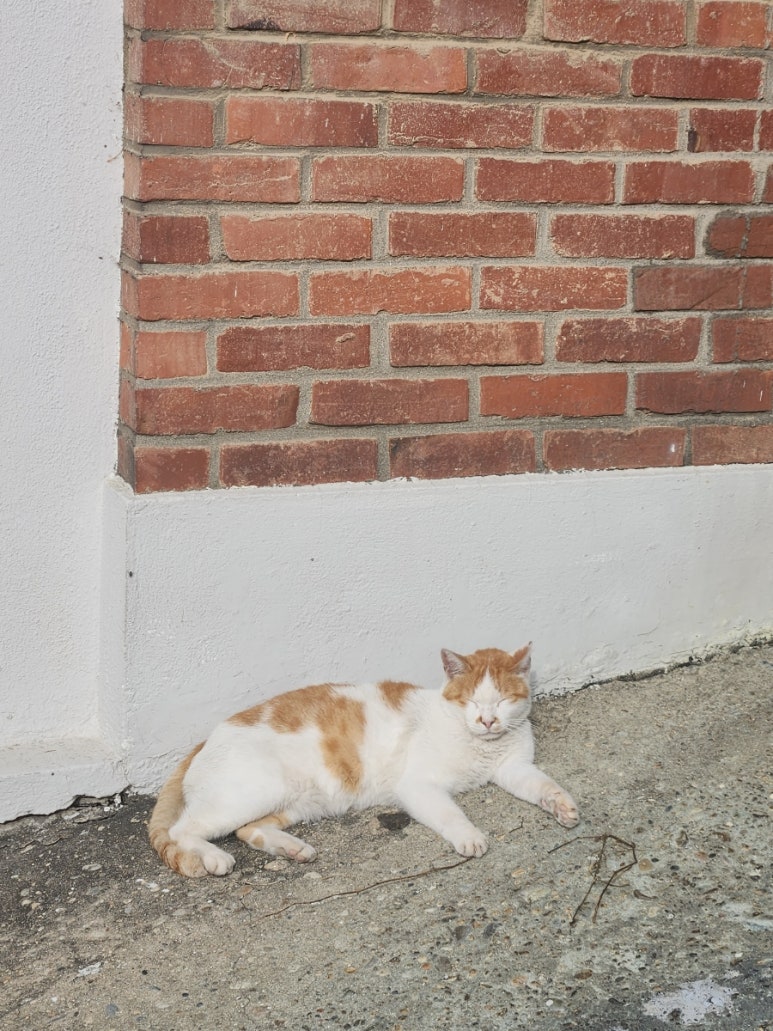 준영인쇄 이미지