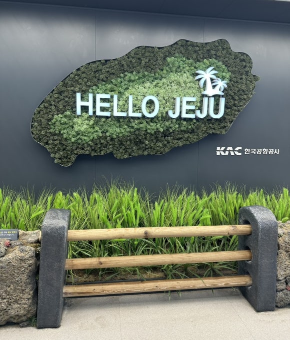 팔도렌트카 이미지