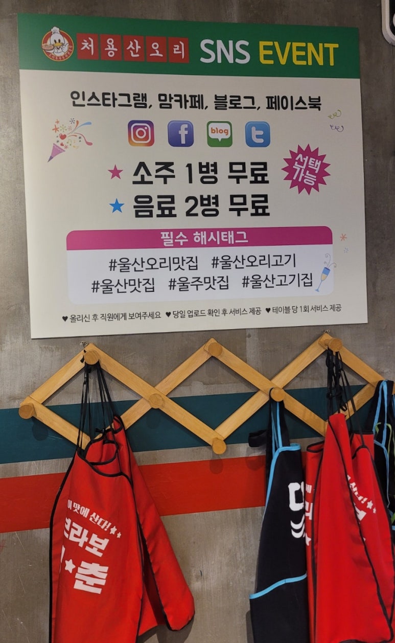 처용산오리 이미지