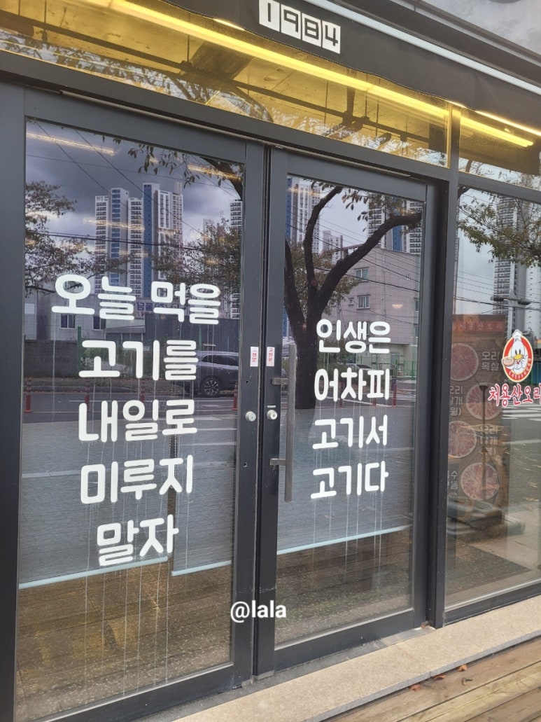 처용산오리 이미지