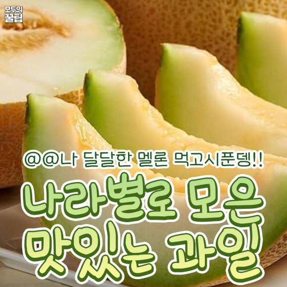 맛있는과일 이미지