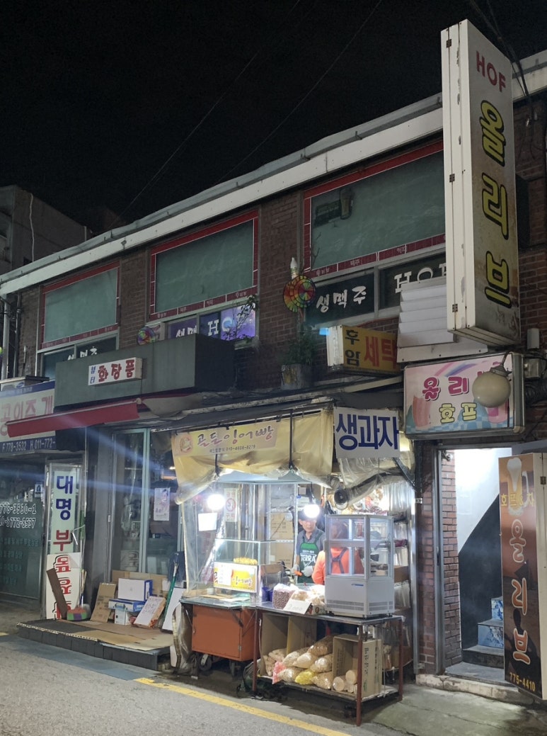 올리브 사진 2