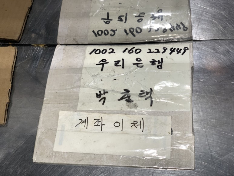 올리브 사진 6