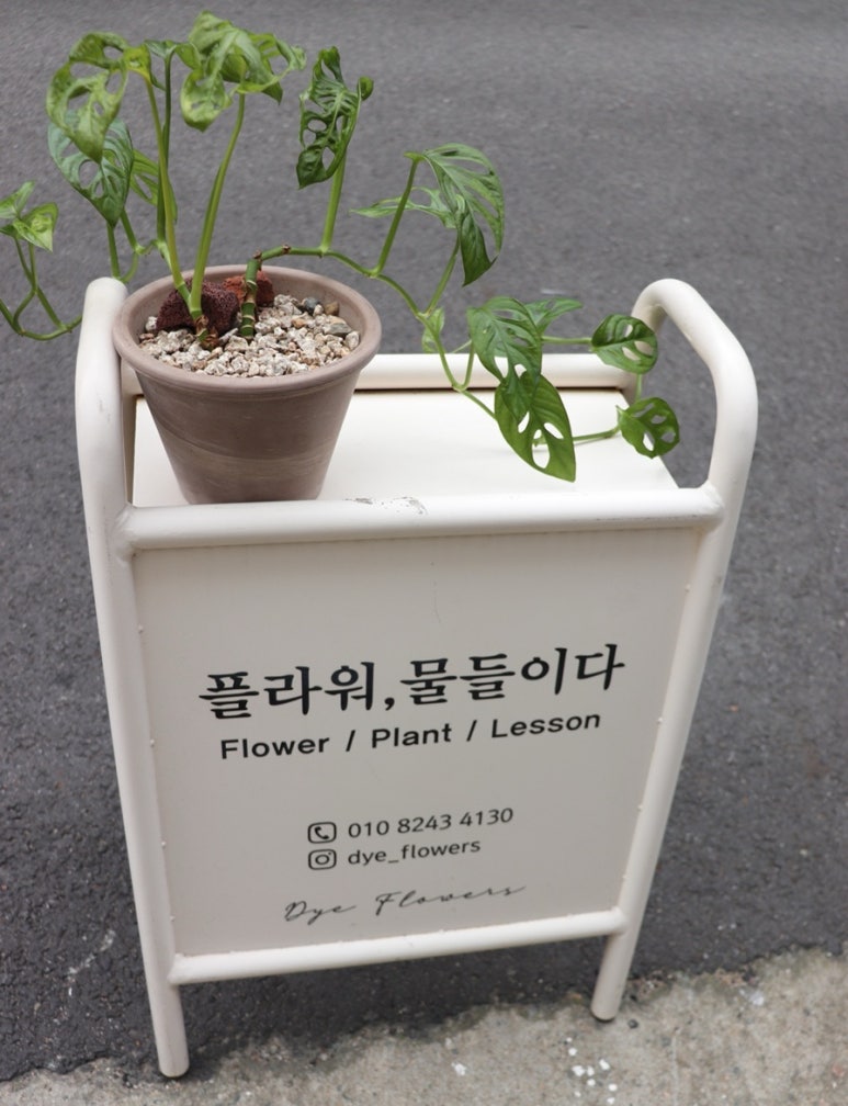 플라워물들이다 이미지