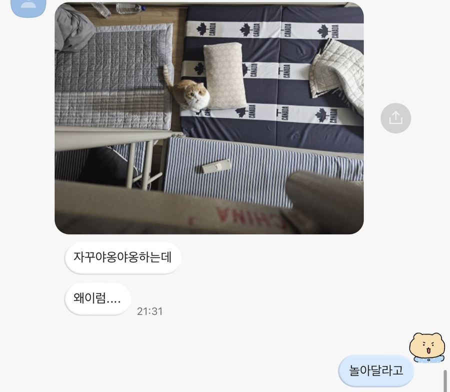 다휘 이미지