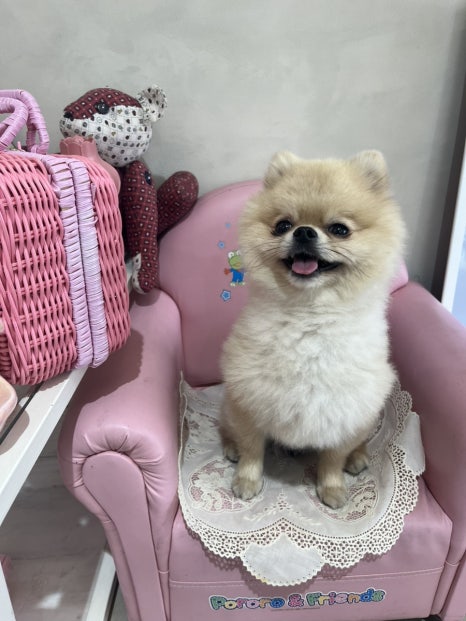 뚜드림 이미지