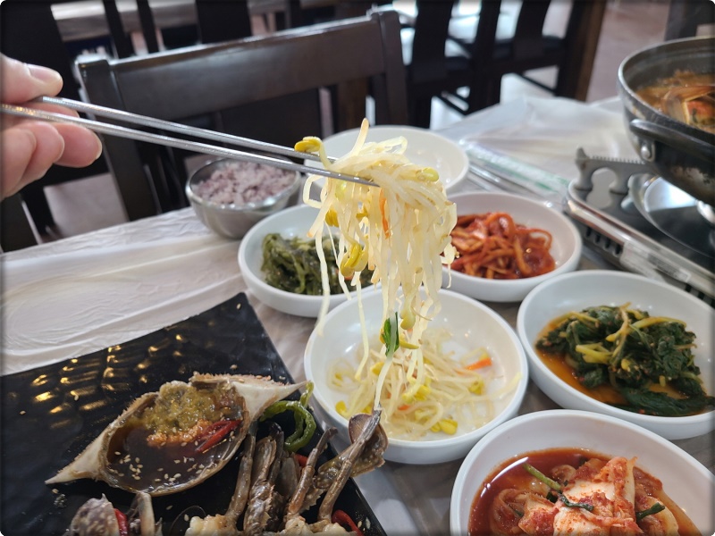 아그집 이미지